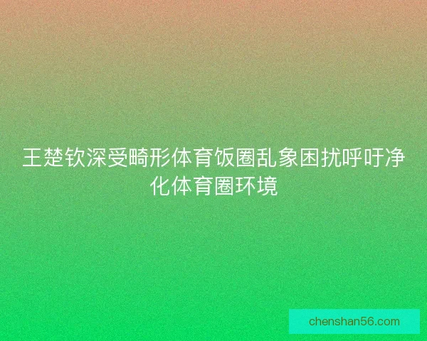 王楚钦深受畸形体育饭圈乱象困扰呼吁净化体育圈环境